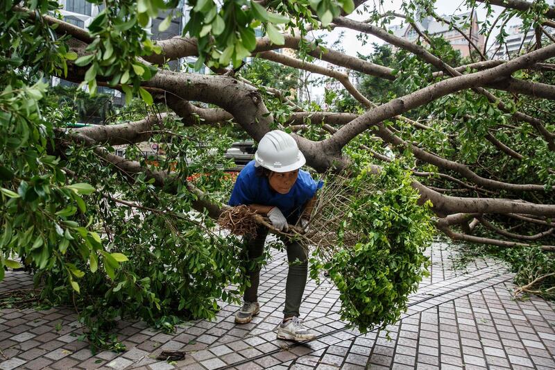 A worker clears up branches and leaves from fallen trees a day after Typhoon Mangkhut hit Hong Kong. AFP