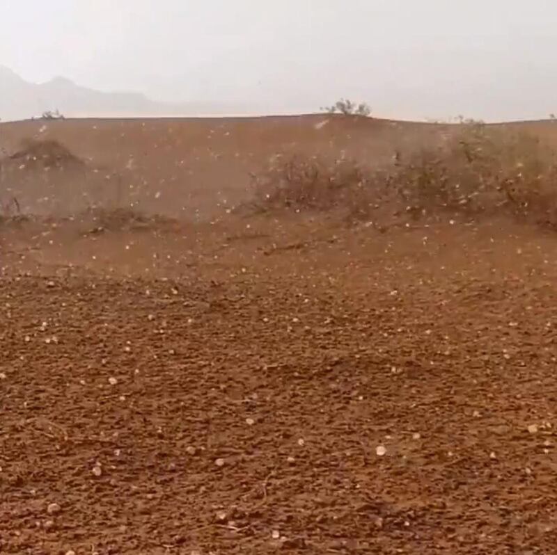 A screenshot from a video posted on Storm Centre's Twitter account showing a hail in Sharjah.