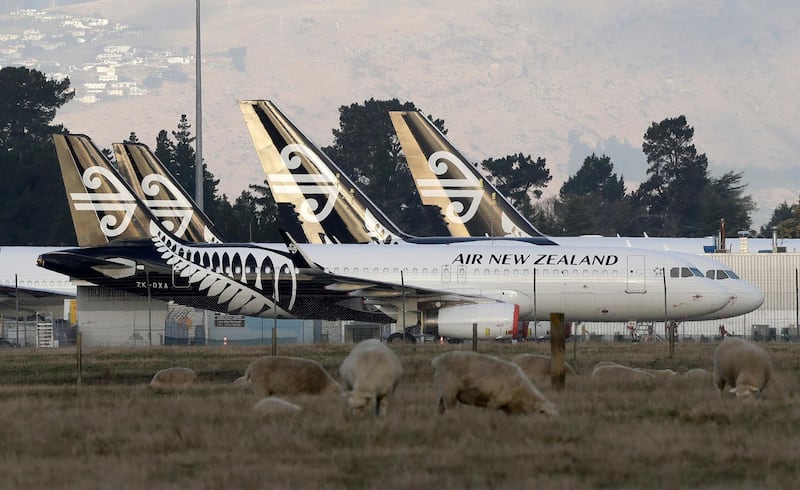 Air New Zealand planes sit parked on the tarmac as sheep graze in a nearby field at Christchurch Airport. AP Photo
