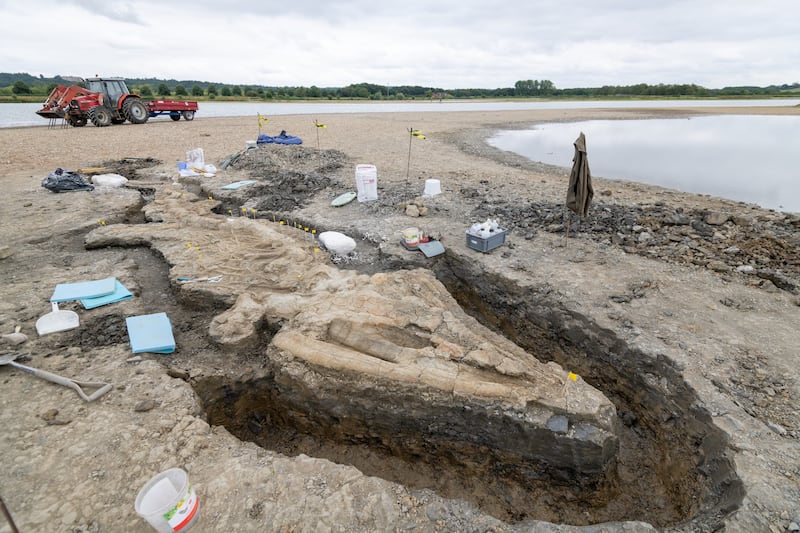 Scientists have hailed the fossilised remains of the prehistoric 'sea dragon' as one of the 'greatest finds' in British paleontological history.