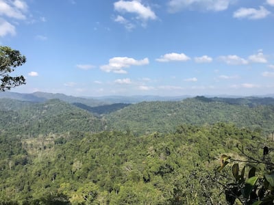 Laos’ Nam Kan National Park. Courtesy Emma Pearson