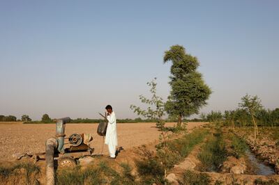 A Pakistani farmer uses a draining pump in his fields, following floods that ruined the chili crop, on October 15. Reuters