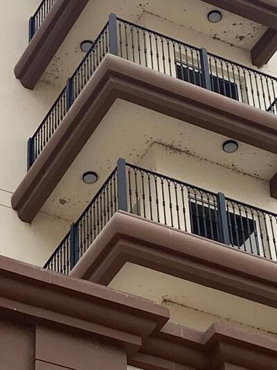 Swarms of bugs nest on balcony ceilings in Dubai Sports City. Supplied