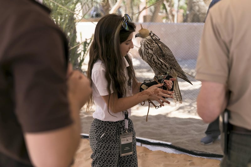 ABU DHABI, UNITED ARAB EMIRATES - DEC 6, 2017

Sandra Moravcíková, a 10 year old falconer from Slovakia, at the fourth International Festival of Falconry. 

This gathering is a tribute to a similar meeting 41 years ago, in 1976, when the UAE Founding Father Sheikh Zayed invited falconers from around the world to convene in the desert of Abu Dhabi and build a strategy for the sport’s development.

(Photo by Reem Mohammed/The National)

Reporter: Anna Zacharias
Section: NA