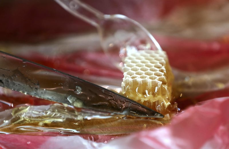 DUBAI, UNITED ARAB EMIRATES , November 7 – 2020 :- Visitors tasting the honey after the tour at the Hatta honey bee garden at the Hatta in Dubai. The ticket price of honey bee garden tour is 50 AED per person.  (Pawan Singh / The National) For News/Online/Instagram/Big Picture. Story by Nick Webster 