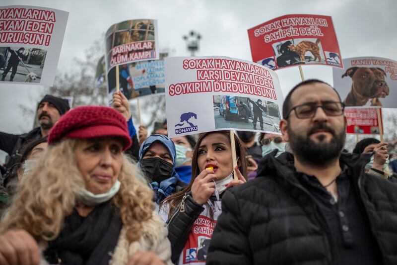 People hold banners reading 'Stop the ongoing genocide against stray animals' during a rally in Istanbul. EPA