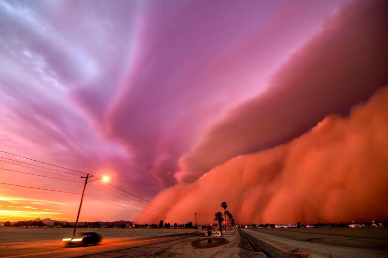 "Final Stand', Tina Wright: 'This was one of the top two largest haboobs (dust storms) ever recorded in the state of Arizona. At the point of this photo it was fully mature, towering over a mile high with winds in excess of 80 miles per hour. The sun was setting, giving the dust wall its deep pink hue. It was a truly incredible sight to see!'