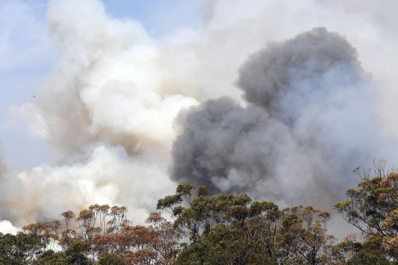 Smoke from bushfires rises in Penrose, in Australia's New South Wales state.  AFP