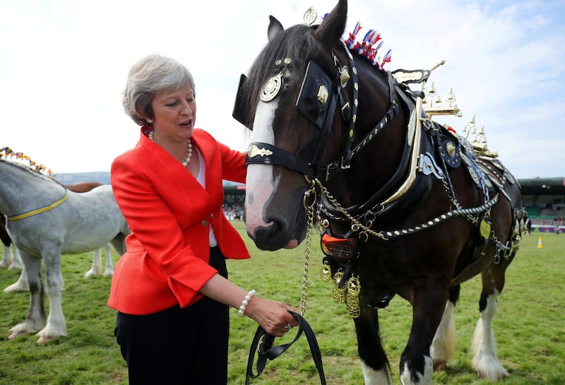 LLANELWEDD, WALES - JULY 26:  British Prime Minister Theresa May poses with a shire horse named Tumble, who won first prize in it's category, during a visit to the Royal Welsh Show on July 26, 2018 in LLanelwedd, Wales. Mrs May has confirmed that the Government is making preparations in case of a no-deal Brexit.  (Photo by Christopher Furlong - WPA Pool/Getty Images)