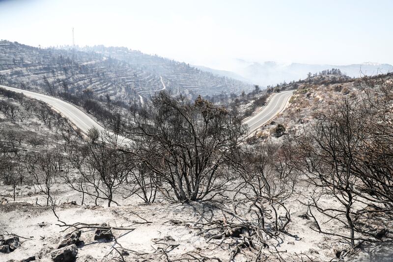 A burnt area is seen following a wildfire near the Israeli Kibbutz of Tzuba on the outskirts of Jerusalem.