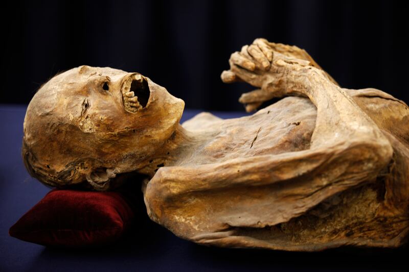 A female mummy, part of the Mummies of Guanajuato Exhibition, in Mexico City in 2009. Reuters