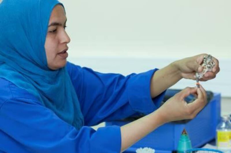 As soon as chicks hatch, they are given a unique identification number. Each number is imprinted on a ring they are given in the first few days of life.
Courtesy International Fund for Houbara Conservation