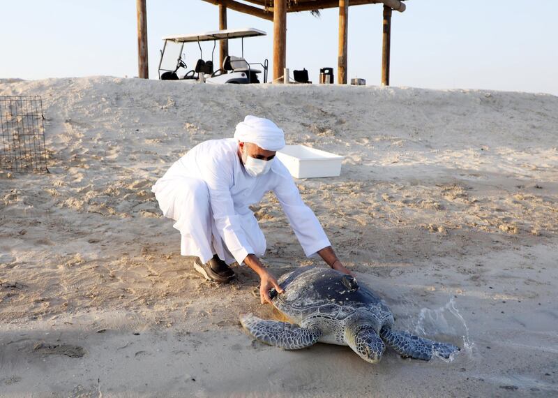 HUDAYRIYAT, ABU DHABI, UNITED ARAB EMIRATES - June 10, 2021: HH Sheikh Theyab bin Mohamed bin Zayed Al Nahyan, Abu Dhabi Executive Council member and Chairman of the Abu Dhabi Crown Prince Court (CPC) (C), participates in a turtle release with the
The Environment Agency - Abu Dhabi, on Hudayriyat Island.

( Hamad Al Ameri for the Ministry of Presidential Affairs )
---