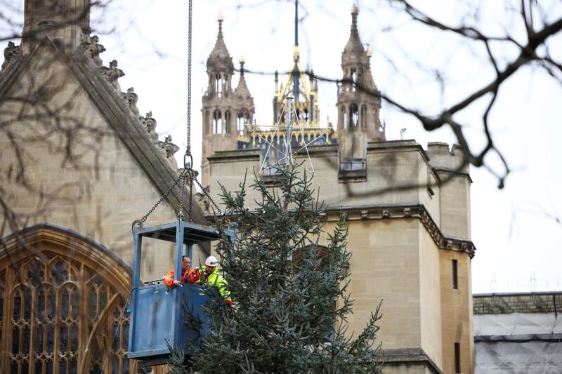Workers hang lights on to a Christmas tree within the grounds of The Houses of Parliament in London. Reuters