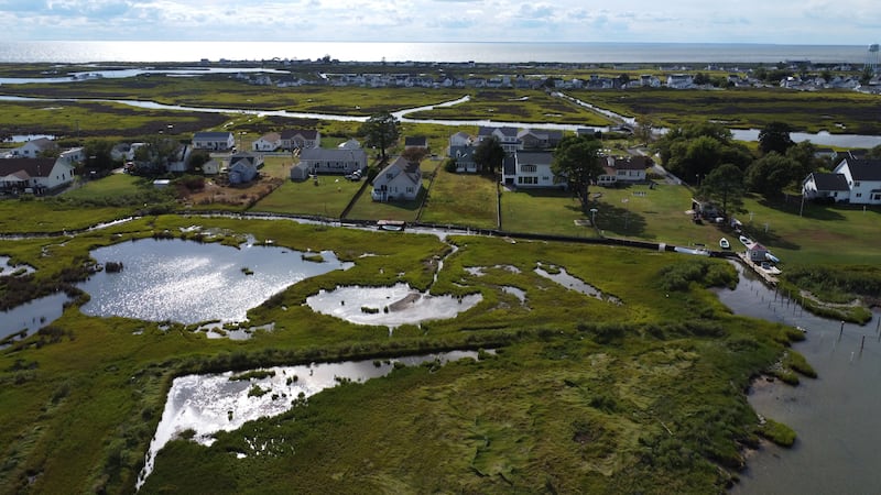A view of Canton Ridge, the most vulnerable part of Tangier Island. All photos: Joshua Longmore / The National