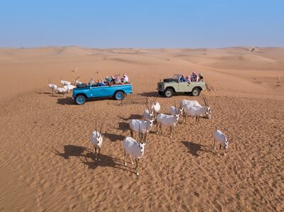 Dubai Desert Conservation Reserve. Photo: Platinum Heritage