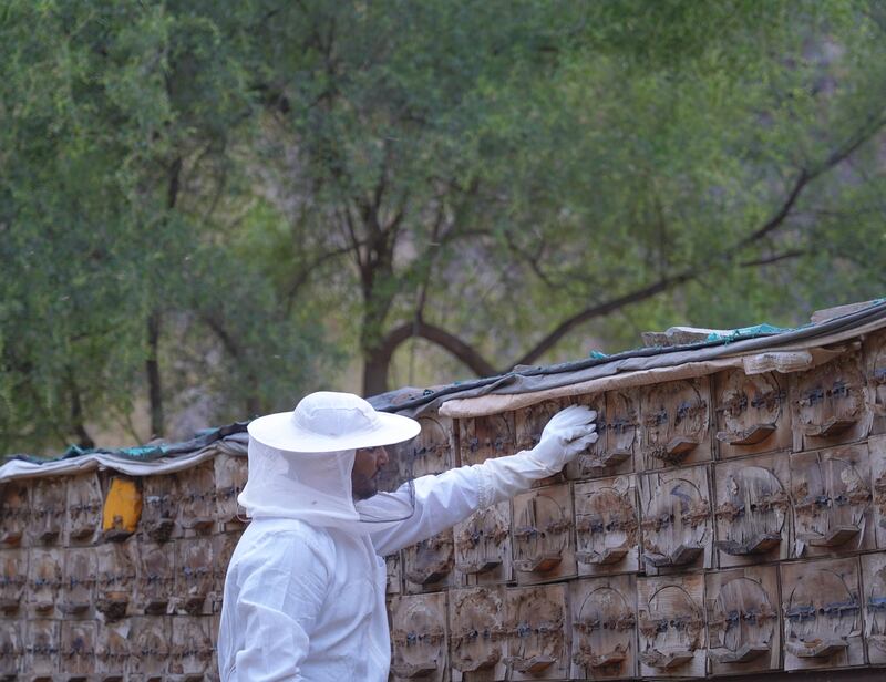 There are an estimated 4,000 beekeepers and 700,000 beehives in Saudi Arabia. Photo: Soudah Development