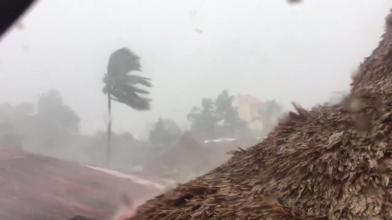 A general view of trees being blown by heavy winds during Typhoon Vongfong in San Francisco, Quezon province, Philippines. Reuters
