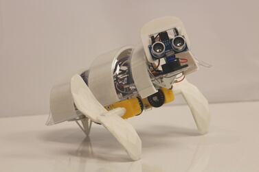 A’seedbot by Mazyar Etehadi from the Dubai Institute of Design and Innovation. Photos: Global Grad Show