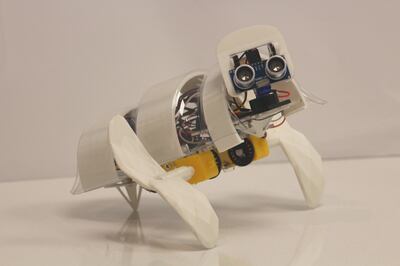 A’seedbot by Mazyar Etehadi from the Dubai Institute of Design and Innovation. All photos: Global Grad Show