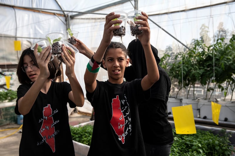 Palestinian teenagers with lettuce they intend to plant on the rooftop garden.