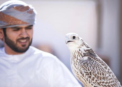 DUBAI, UNITED ARAB EMIRATES. 8 JANUARY 2020. 
Hamdan Bin Mohammed Heritage Center’s Fazza Championship for Falconry - Telwah.
(Photo: Reem Mohammed/The National)

Reporter:
Section: