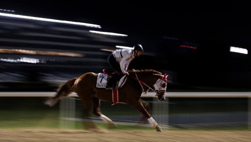 A jockey rides Justin from Japan during preparations for the Dubai World Cup 2023 at Meydan Racecourse, Dubai, on March 22, 2023.  The 27th edition of the Dubai World Cup will take place on March 25. 