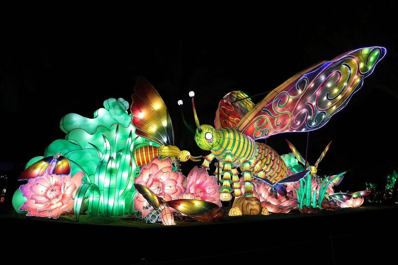 DUBAI, UNITED ARAB EMIRATES , October 14 – 2020 :- View of the colourful light figures at the Dubai Garden Glow season 6 which opened on 12th October at the Zabeel park in Dubai. No sitting allowed on the benches as a precautionary measure against the spread of coronavirus. Security at the entrance gate checks the body temperature of all the visitors. (Pawan Singh / The National) For Life Style/Online/Instagram/Big Picture. Story by Evelyn Lau