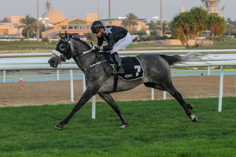 AF ALAJAJ (FR) ridden by Tadhg O'Shea wins the 7F Maiden, race 2, at Abu Dhabi Equestrian Club, UAE