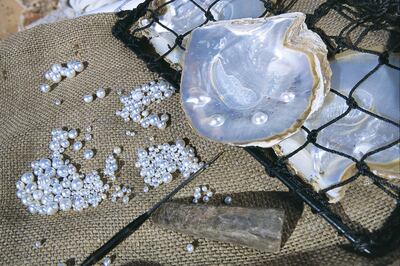 A collection of Broome pearls being sorted. Courtesy Tourism Western Australia