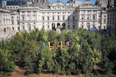 2G05XHR Forest for Change - consisting of 400 trees in the courtyard of Somerset House - during a photo call for the London Design Biennale at Somerset House in London, which runs from the 1st to the 27th of June. Picture date: Tuesday June 1, 2021.