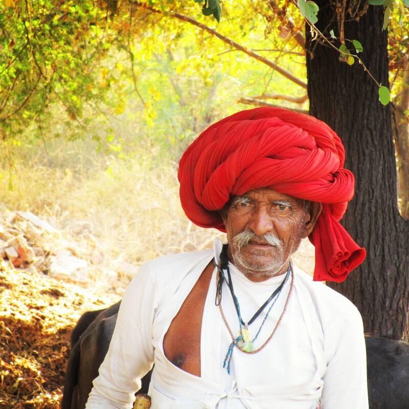India, Rajasthan state, Bera area, farmer with traditional clothes