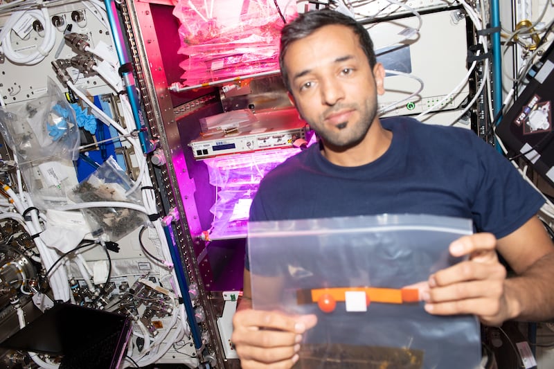 Dr Al Neyadi on March 7, holding small tomatoes grown on the ISS. Photo: Nasa 