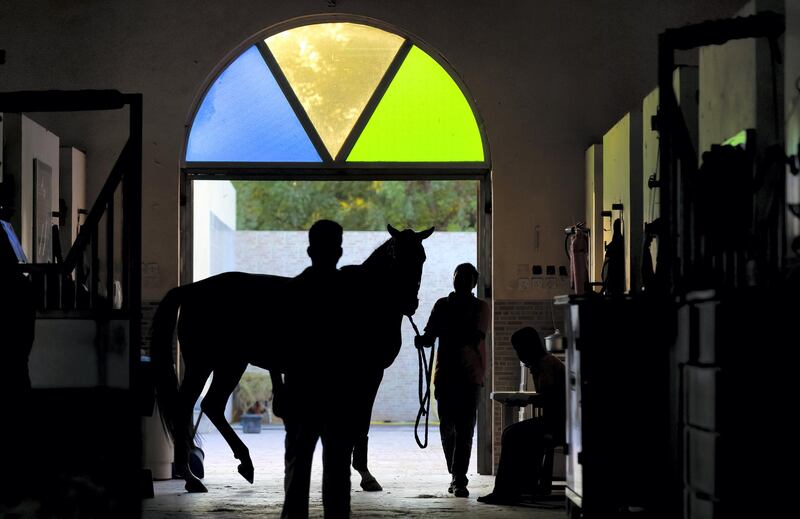 Sharjah, United Arab Emirates - November 28, 2020: People attend to racehorses in the stables. Saturday, November 28th, 2020 in Sharjah. Chris Whiteoak / The National