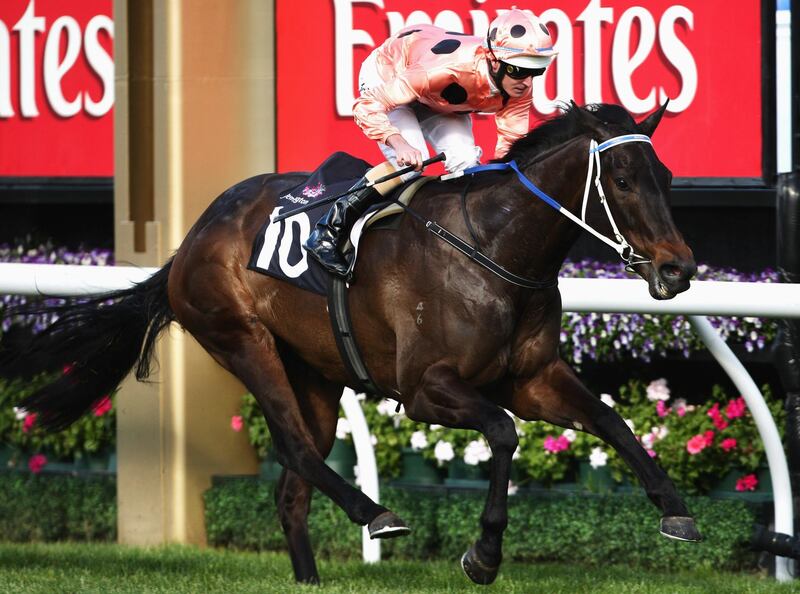 MELBOURNE, AUSTRALIA - SEPTEMBER 05:  Jockey Luke Nolen riding Black Caviar wins the Danehill Stakes during the Sofitel Girls' Day Out meeting at Flemington Racecourse on September 5, 2009 in Melbourne, Australia.  (Photo by Mark Dadswell/Getty Images)