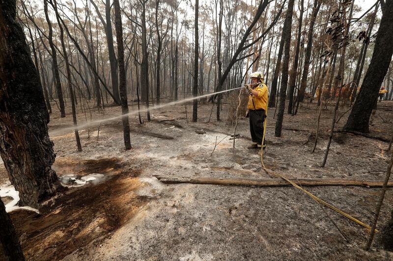 A firefighter from the Rural Fire Service douses a burnt out tree with water near Oakdale, southwest of Sydney, Australia. AP Photo