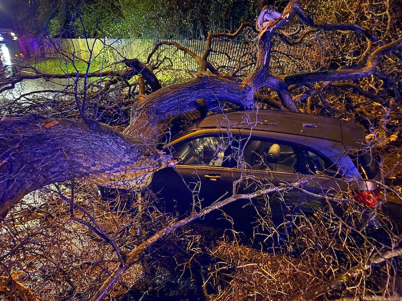 A car lies underneath a fallen tree in Sutton Park, the West Midlands. Photo: West Midlands Fire Service