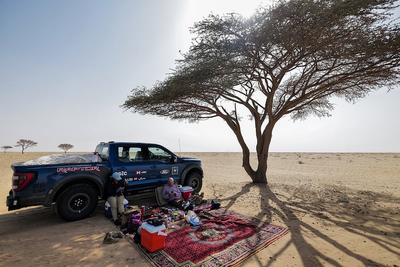 Trees are rare in Arabia and provide sanctuary and shade from the sun
