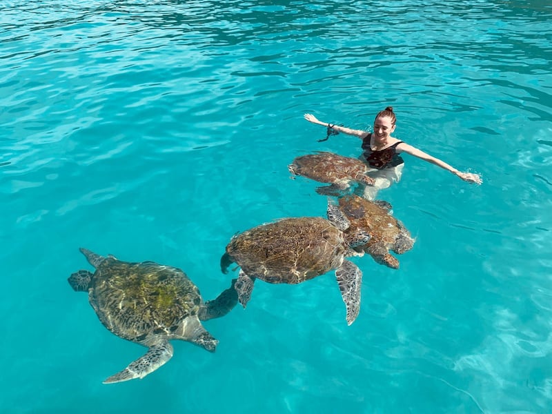 Louise Burke swims with turtles in Malaysia. Courtesy Louise Burke