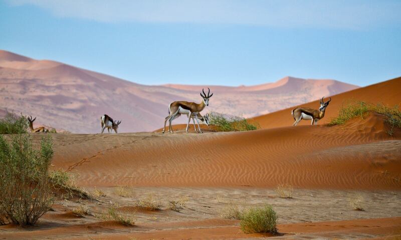Sesriem, Namibia. Photo: Arne Smith/ Unsplash