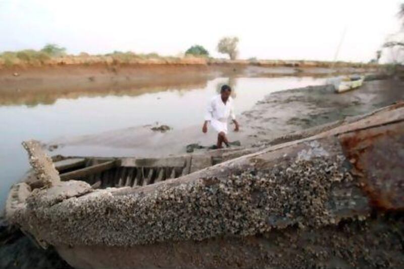 Pollution and salinisation have combined to devastate southern Iraq's waterways, such as the Shatt Al Arab channel.