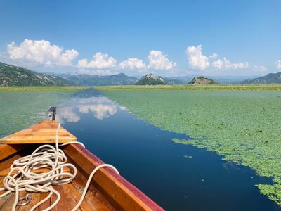 Dolphin-shaped Skadar Lake is the largest lake in the Balkans