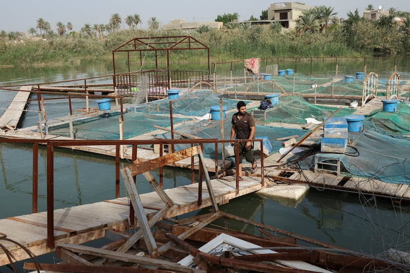 The fish farming pond in the Euphrates River in Najaf.  Reuters