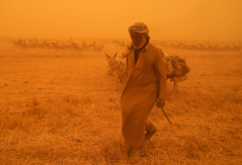 Bedouin shepherds during a sandstorm sweeping Iraq. AFP