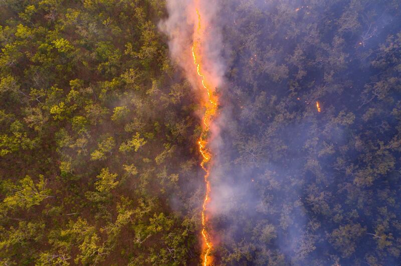 A fire leaves a trail of destruction through woodland near the border of the Steve Irwin Wildlife Reserve in Cape York, Queensland, Australia, illustrating the threat posed to natural habitats. Natural History Museum.