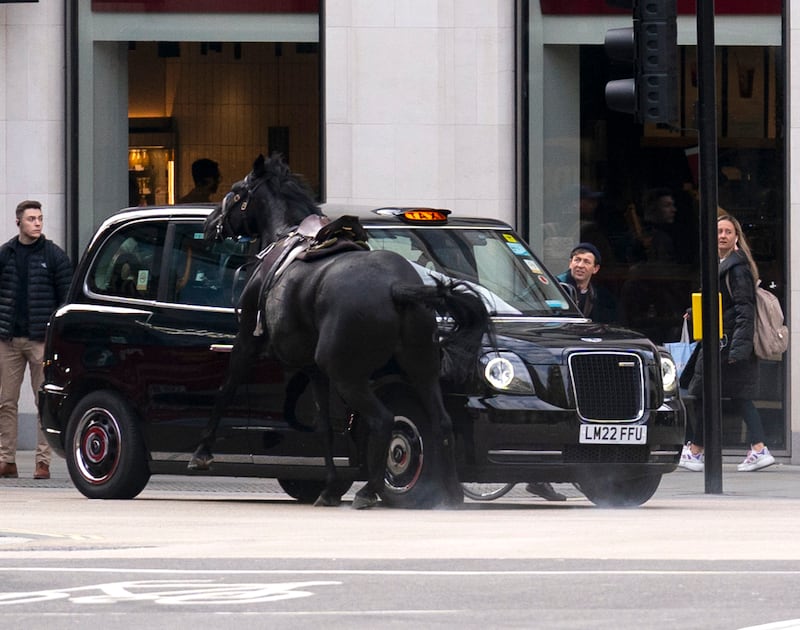 One of the horses collides with a London taxi. PA
