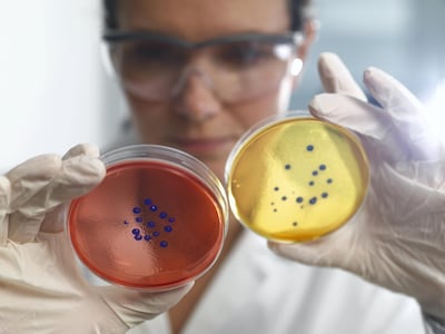 Bacteria which could once be easily treated with antibiotics is increasingly becoming resistant to the drugs