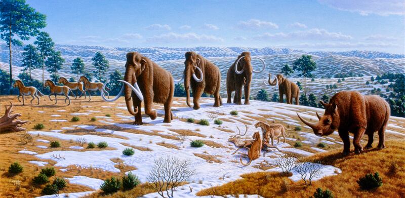 The image depicts a late Pleistocene landscape in northern Spain with woolly mammoths, equids, a woolly rhinoceros and European cave lions with a reindeer carcass. Photo: Mauricio Anton