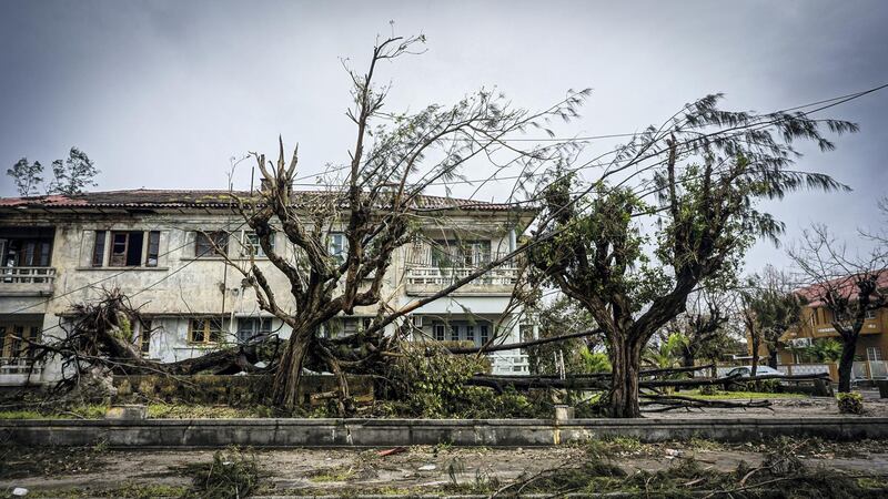 Fallen trees and downed power lines sit on the side of the road in Beira, Mozambique, March 22, 2019. Jack Moore / The National