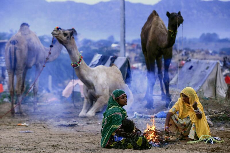 Members of a trading family sit around a fire in the early morning next to their animals at the Pushkar Camel Fair in the western state of Rajasthan, India. AFP